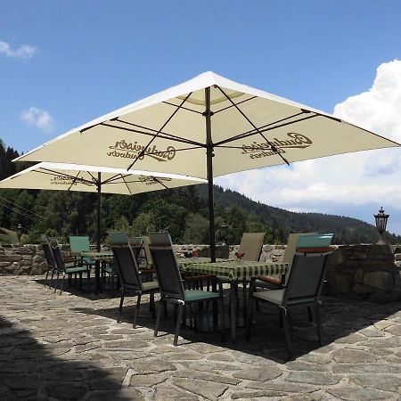 Hotel Studenec Rožmberk nad Vltavou Dış mekan fotoğraf