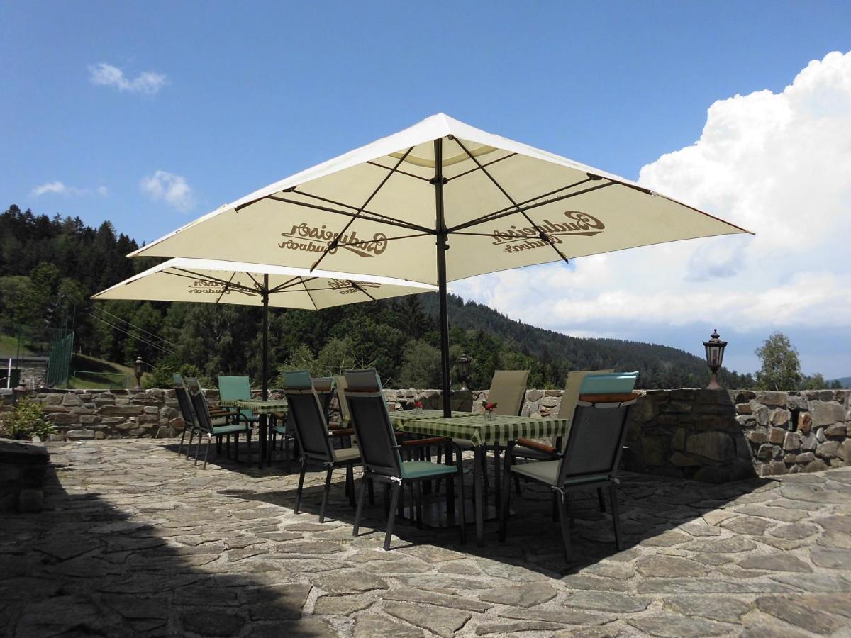 Hotel Studenec Rožmberk nad Vltavou Dış mekan fotoğraf